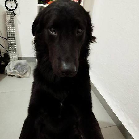 ホテル Casa Chill Out ミンカ エクステリア 写真