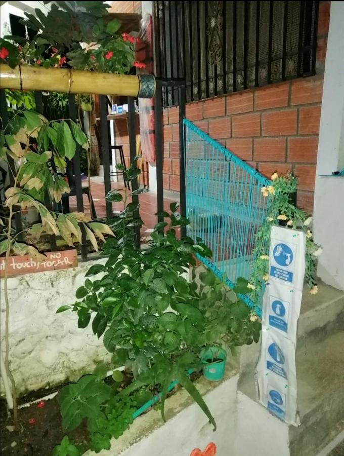 ホテル Casa Chill Out ミンカ エクステリア 写真